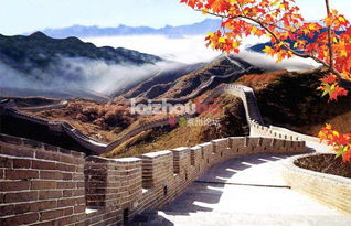 北九州旅行， 一场充满惊喜与失望的奇幻之旅