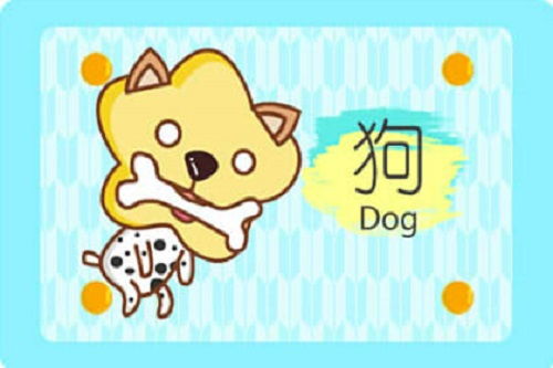 平衡事业与感情