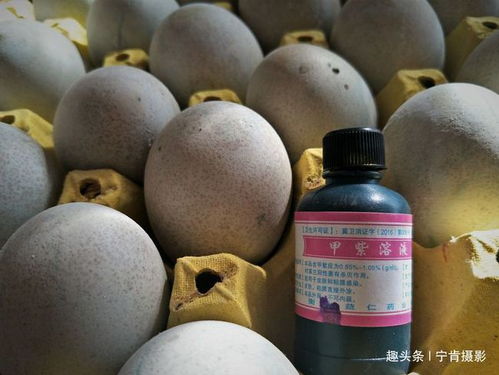 塑料袋+硬币