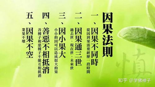 先来个较小自白
