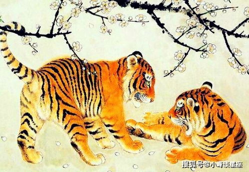 与不同属相的人相处