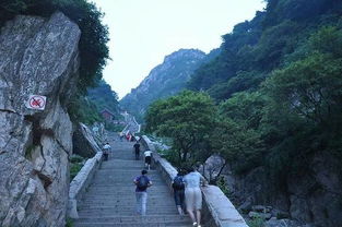 登山路线推荐 (根据你的体力选择哦!)