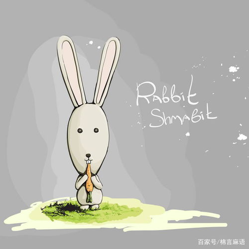 感情路上的较小插曲
