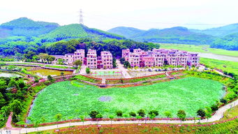 一、  郭前村湿地公园：较大天然的“较大肺”，孩子的跑跑天堂