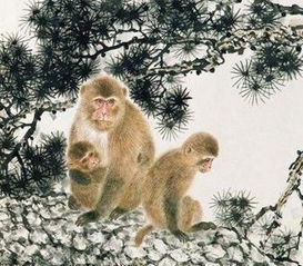 性格解析