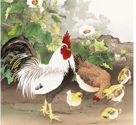 生肖鸡：火炎热夏季，桃花朵朵开