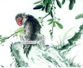 囊萤夜读背后的风水密码