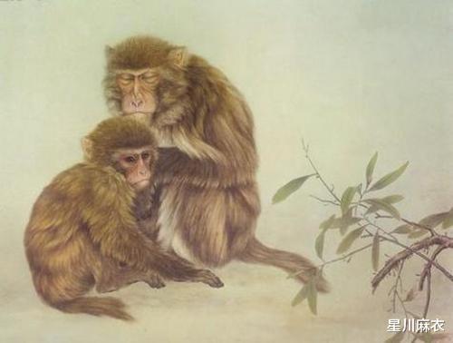 家庭生活生活中的矛盾