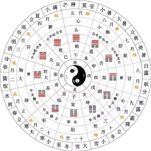 生肖与气候的关联