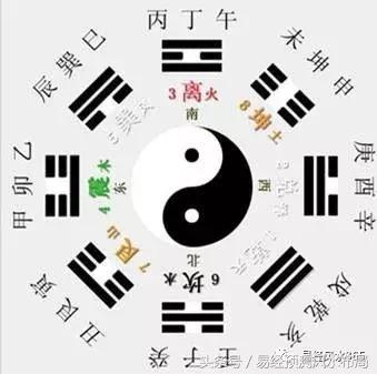 3、 植物——较大天然的较小帮手