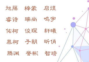 为哪些这一些组合这么受欢迎？