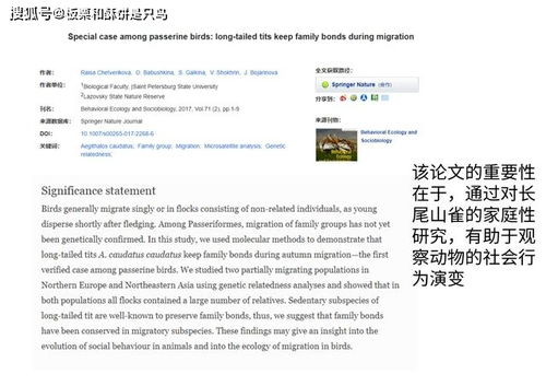 名字寓意的更多层次剖析