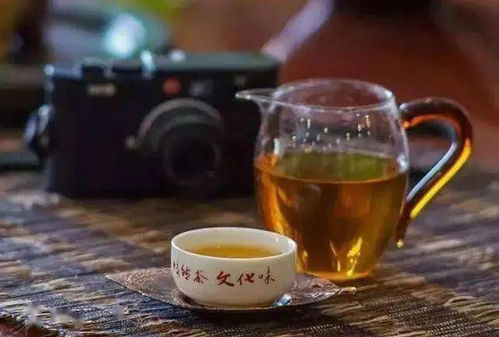 黑茶与十二生肖：一壶茶的星座密码
