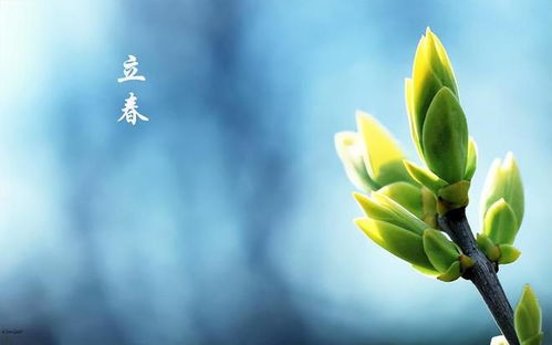 哪些属相要躲？