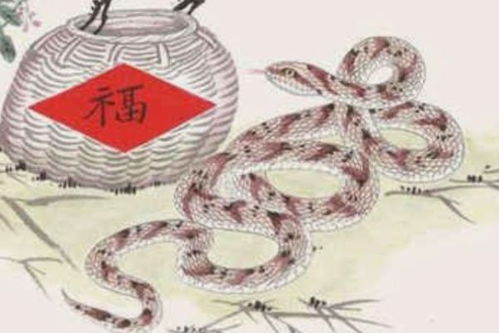 与谁相配？