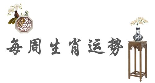 虎