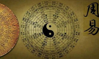 紫微斗数 + 罗盘风水 = 综合较大招