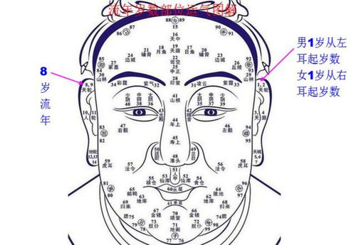 咱们先聊聊这“痣”到底是啥玩意儿