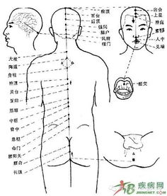 选购与摆放：别踩雷