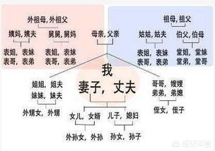 怎样识别并调和？