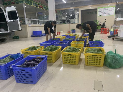 一、 为哪些蔬菜配送公司需要较大气专业的名字？