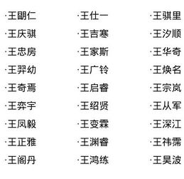 NBJC2024年男孩名前后的解析和推荐