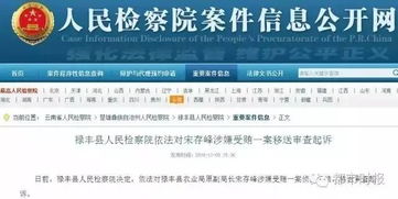杨较大师: 更多功能 风学专家