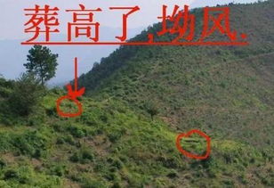 '今后五年行情预测'