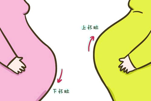 孕妇的身体状况与梦想
