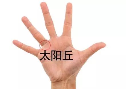 食指根部木星丘丰满——正财运势如日中天
