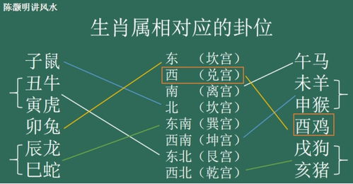 风水布局也能用上