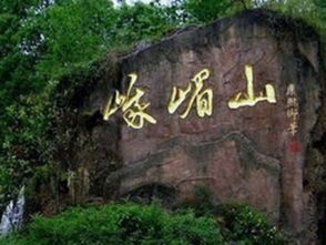 4. 网上订票有猫腻