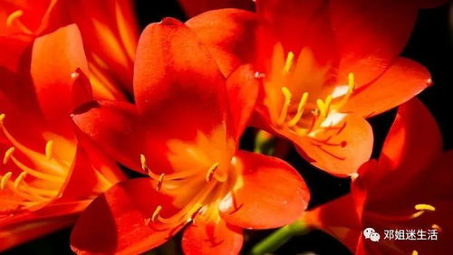 闲来唠唠：桃花运这玩意儿吧,从来都是