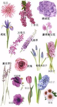 星座对应颜色与方位
