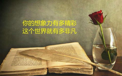 背后的科学研究原理：能量流动与阴阳调和