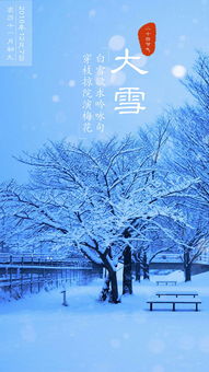 大雪节气：仲冬的序曲