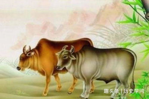 三、   属牛人一生克三人：属狗人之一