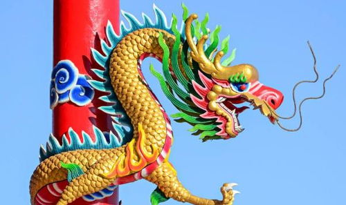属龙人的三合贵人