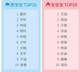 第二章：2026年宝宝起名趋势全景