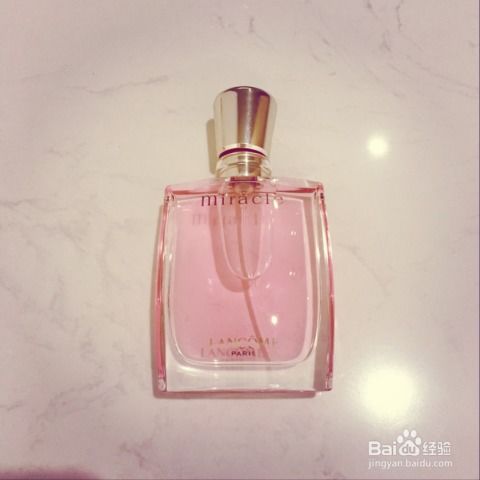 品牌与系列推荐（但记住自己才是主角）