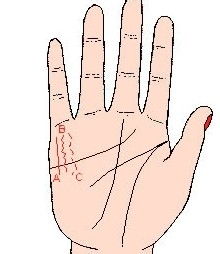 Zodiac & Hand Harmony