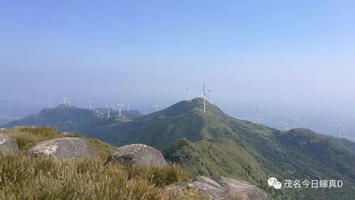 交通：一场噩梦的开始