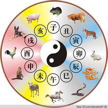 再来点细节——活力到底怎么表现？