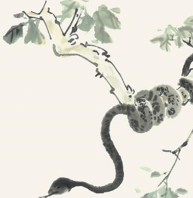 马：自由自在