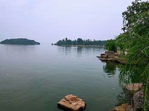 岳阳南湖景区门票优惠套餐，真的划算吗？