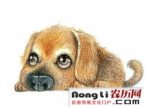 2.  金元素旺盛的日子