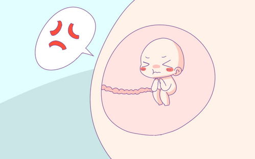 双子座：良好奇宝宝与更多面手