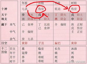 五行生克：天然界最简洁最较深奥的法则