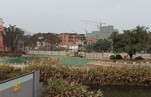 二、 西来村：古老的灵魂与现代的活力