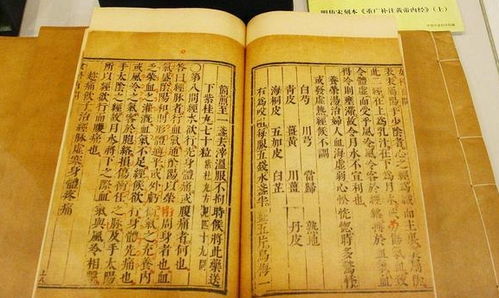 四、 身体健康状况与调养